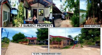 Foreclosed Residential Lot in Jones, Isabela (PDIC)