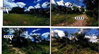 Foreclosed Agricultural Lot in Jones, Isabela · Lot 4317-A (PDIC)