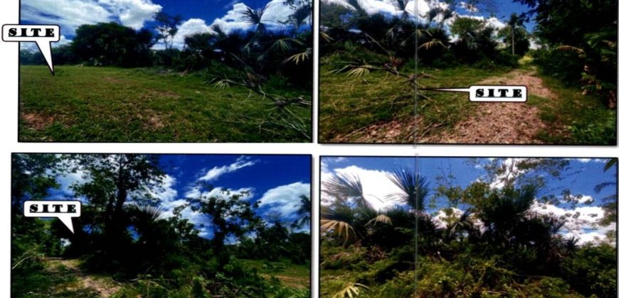 Foreclosed Agricultural Lot in Jones, Isabela · Lot 4317-A (PDIC)