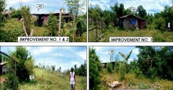 Foreclosed Agricultural Lot in Jones, Isabela · Lot 13 (PDIC)