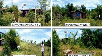 Foreclosed Agricultural Lot in Jones, Isabela · Lot 13 (PDIC)