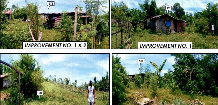 Foreclosed Agricultural Lot in Jones, Isabela · Lot 13 (PDIC)