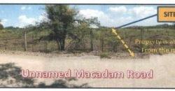 Foreclosed Agricultural Lot in Camiling, Tarlac (PDIC)