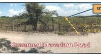Foreclosed Agricultural Lot in Camiling, Tarlac (PDIC)