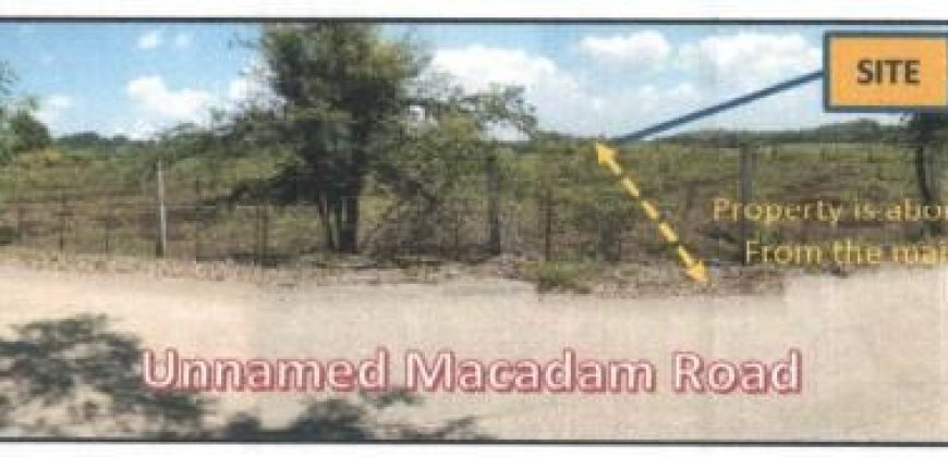 Foreclosed Agricultural Lot in Camiling, Tarlac (PDIC)
