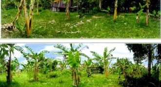 Foreclosed Agricultural Lot in Cebu City