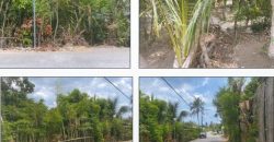 Foreclosed Property in Tanauan City, Batangas, Luzon #4