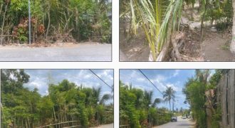 Foreclosed Property in Tanauan City, Batangas · Lot 10800-D-2 (PDIC)