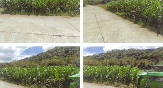 Foreclosed Agricultural Lot in Sudipen, La Union (PDIC)