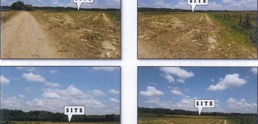 Foreclosed Agricultural Lot in Jones, Isabela · Lot No. 3576-A (PDIC)
