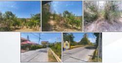 Foreclosed Agricultural Lot in Bauan, Batangas (PDIC)