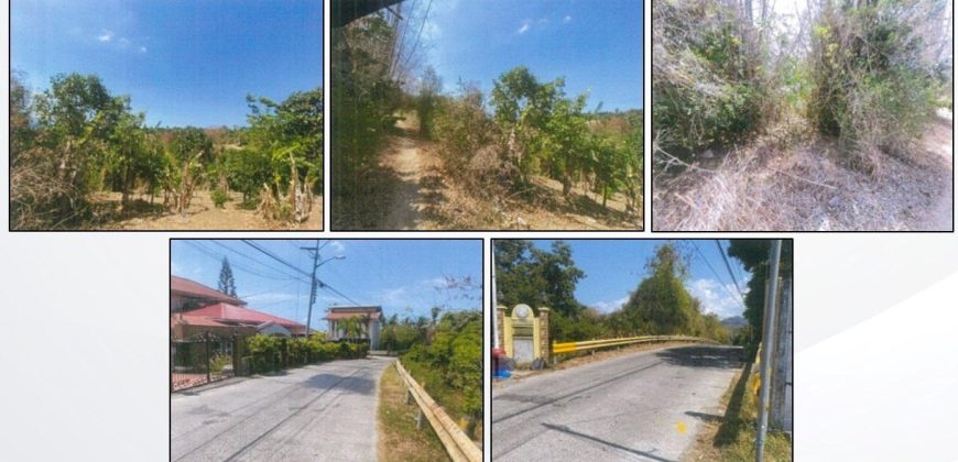 Foreclosed Agricultural Lot in Bauan, Batangas (PDIC)