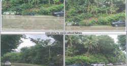 Foreclosed Agricultural Lot in Libagon, Southern Leyte · Lot 6123 (PDIC)