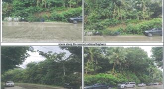 Foreclosed Agricultural Lot in Libagon, Southern Leyte · Lot 6123 (PDIC)