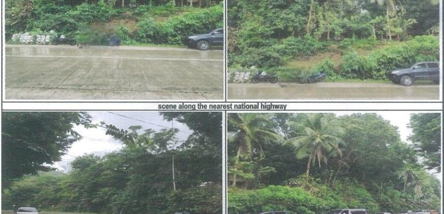 Foreclosed Agricultural Lot in Libagon, Southern Leyte · Lot 6123 (PDIC)