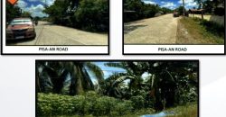 Foreclosed Residential Lot in San Francisco, Agusan del Sur (PDIC)