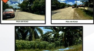 Foreclosed Residential Lot in San Francisco, Agusan del Sur (PDIC)