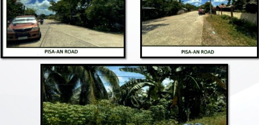 Foreclosed Residential Lot in San Francisco, Agusan del Sur (PDIC)