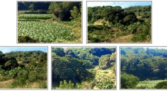 Foreclosed Agricultural Lot in City Of Candon City, Ilocos Sur (PDIC)