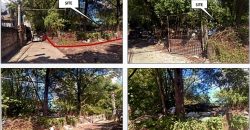 Foreclosed Agricultural Lot in Marilao, Bulacan · Lot No. 1286-C-2-D (PDIC)