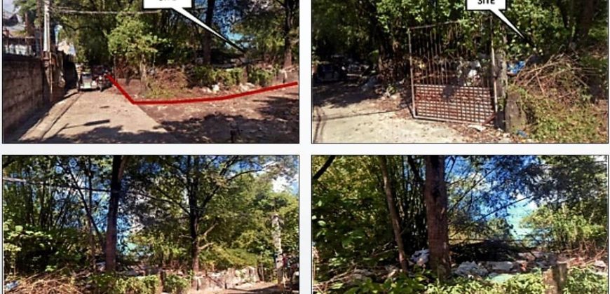 Foreclosed Agricultural Lot in Marilao, Bulacan · Lot No. 1286-C-2-D (PDIC)