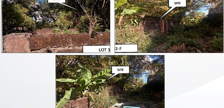 Foreclosed Agricultural Lot in Marilao, Bulacan (PDIC)