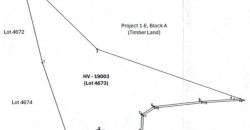 Foreclosed Agricultural Lot in Jones, Isabela · Lot 4673 (PDIC)
