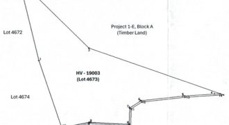 Foreclosed Agricultural Lot in Jones, Isabela · Lot 4673 (PDIC)