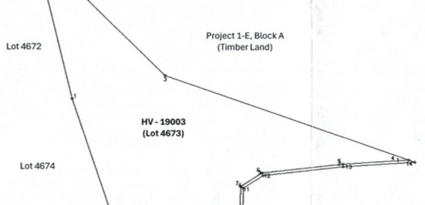 Foreclosed Agricultural Lot in Jones, Isabela · Lot 4673 (PDIC)