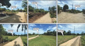 Foreclosed Residential Lot in Jones, Isabela · Lot 2252-H (PDIC)