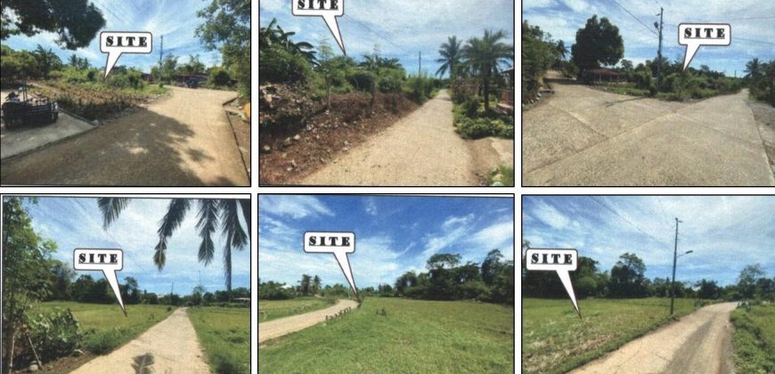 Foreclosed Residential Lot in Jones, Isabela · Lot 2252-H (PDIC)