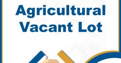 Foreclosed Agricultural Lot in Carmen, Bohol, Visayas