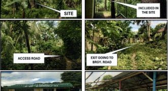 Foreclosed Property in Magpet, Cotabato (PDIC)