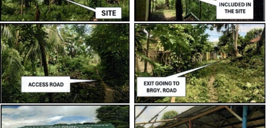 Foreclosed Property in Magpet, Cotabato (PDIC)