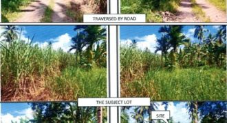Foreclosed Agricultural Lot in Kidapawan City