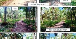 Foreclosed Property in Pres Roxas, Cotabato (PDIC)