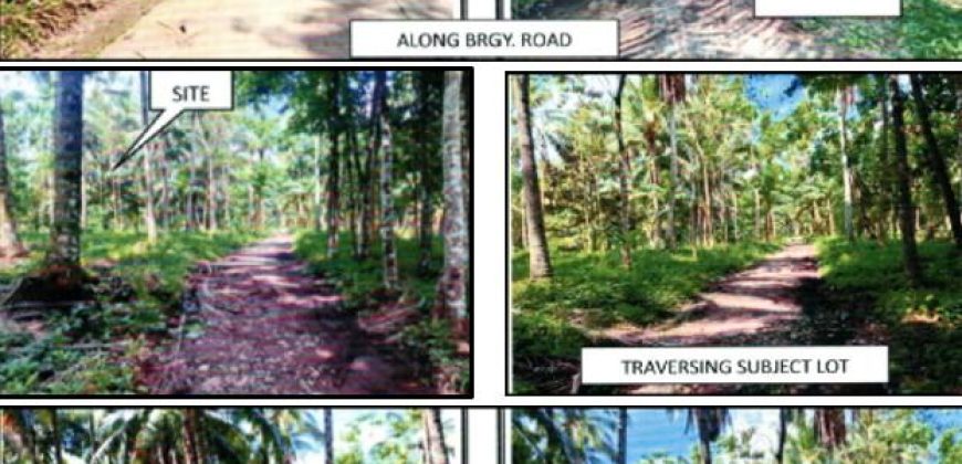 Foreclosed Property in Pres Roxas, Cotabato (PDIC)