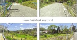 Foreclosed Agricultural Lot in Balaoan, La Union (PDIC)