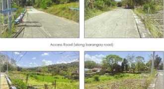 Foreclosed Agricultural Lot in Balaoan, La Union (PDIC)
