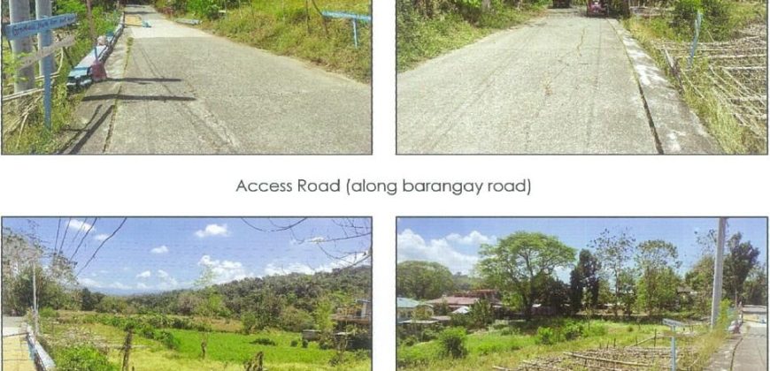 Foreclosed Agricultural Lot in Balaoan, La Union (PDIC)