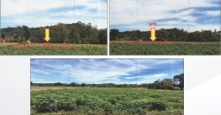 Foreclosed Agricultural Lot in Jones, Isabela · Lot 4086-A-2 (PDIC)