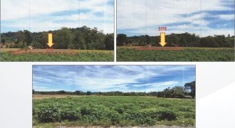 Foreclosed Agricultural Lot in Jones, Isabela · Lot 4086-A-2 (PDIC)