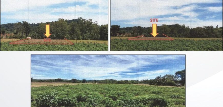 Foreclosed Agricultural Lot in Jones, Isabela · Lot 4086-A-2 (PDIC)