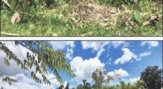 Foreclosed Agricultural Lot in Jones, Isabela · Lot 1587-I (PDIC)
