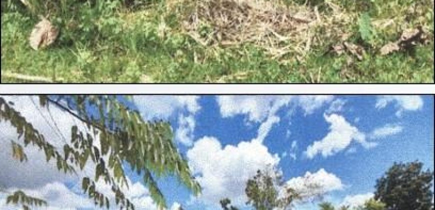 Foreclosed Agricultural Lot in Jones, Isabela · Lot 1587-I (PDIC)