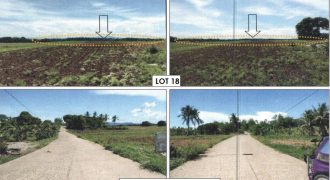 Foreclosed Agricultural Lot in Jones, Isabela · Lot 18 (PDIC)