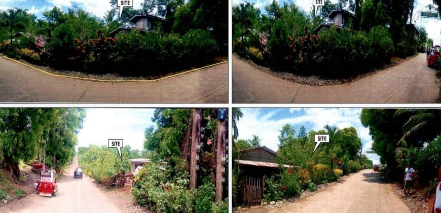 Foreclosed Property in Jones, Isabela · Lot 315-C (PDIC)