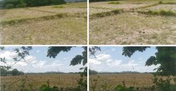 Foreclosed Agricultural Lot in Bacnotan, La Union (PDIC)