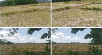 Foreclosed Agricultural Lot in Bacnotan, La Union (PDIC)