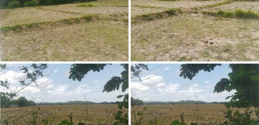 Foreclosed Agricultural Lot in Bacnotan, La Union (PDIC)